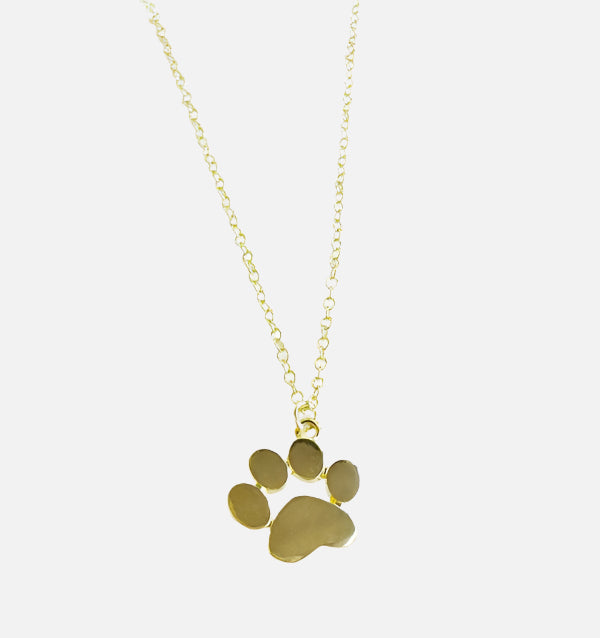 Collier Plaqué Or avec Charme Patte