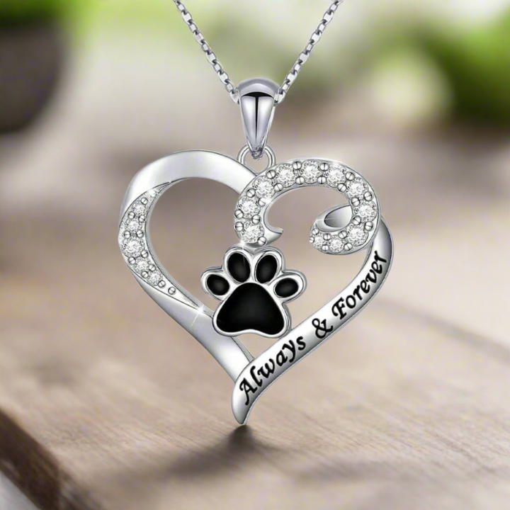 Collier Patte de Chien – Design Cœur en Acier Inoxydable avec Zirconia