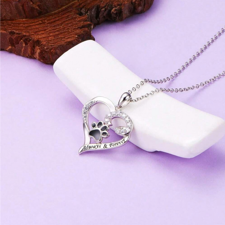 Collier Patte de Chien – Design Cœur en Acier Inoxydable avec Zirconia