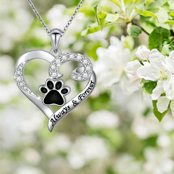 Collier en forme de patte de chien – Design en cœur en acier inoxydable avec zirconium