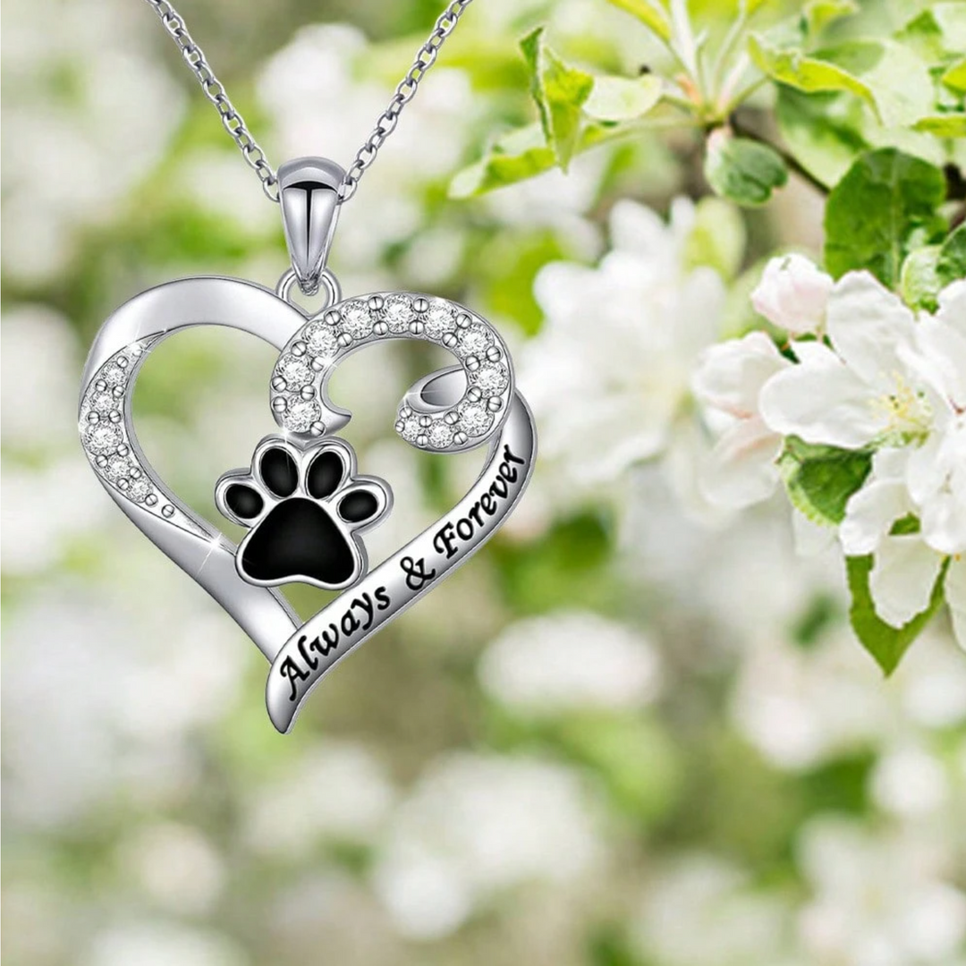 Collier Patte de Chien – Design Cœur en Acier Inoxydable avec Zirconia