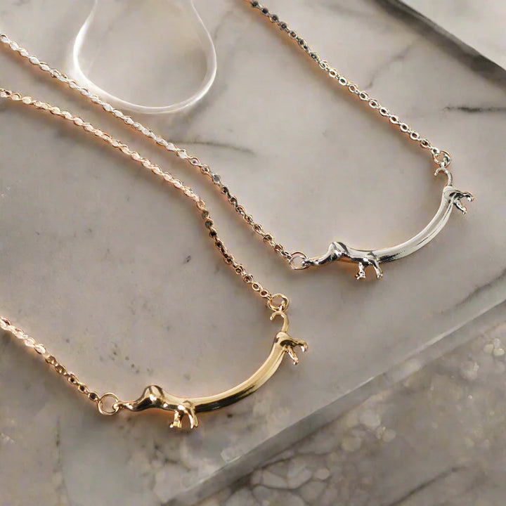 Collier Teckel en Ton Or