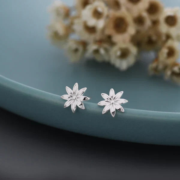 Boucles d'oreilles en étoile de badiane